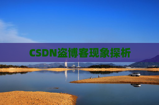 CSDN盗博客现象探析 CSDN盗博客现象探析